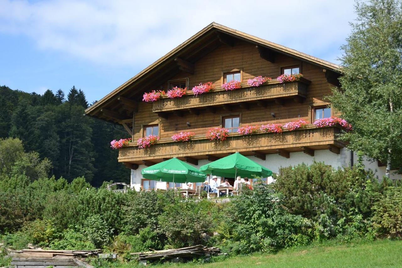 Berggasthof Sonnenalm Otel Hauzenberg Dış mekan fotoğraf